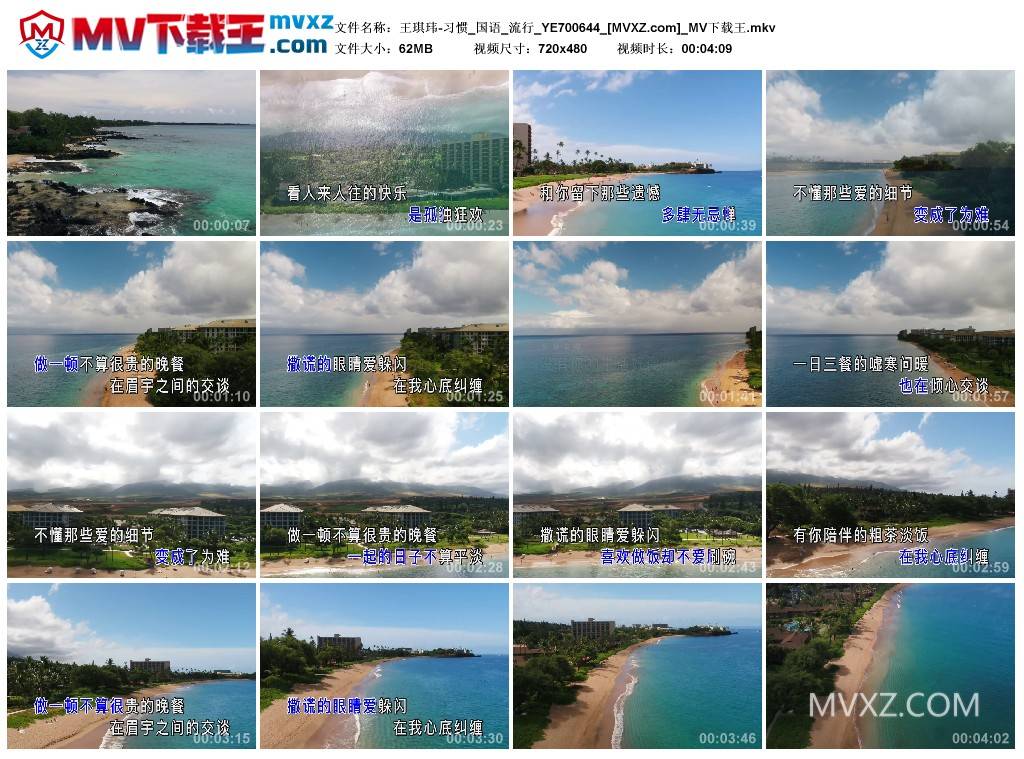 王琪玮-习惯_国语_流行_YE700644
